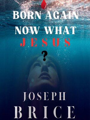 cover image of Born Again Now What? Jesus